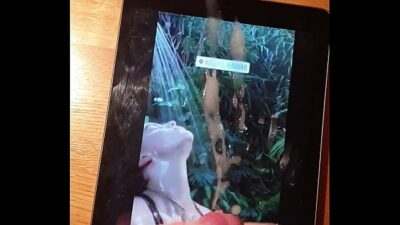 Billie Eilish Cum Tribute all gay porn video