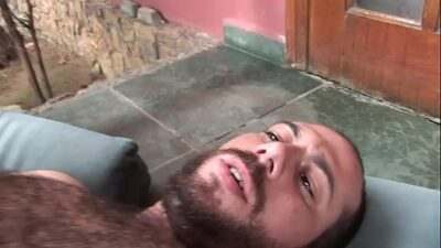 Gay  Ursos safados brasileiros all gay porn video