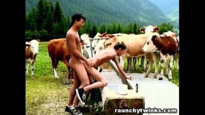 Twinks Country Teenagers Outdoor Barn Gay Sex all gay porn video
