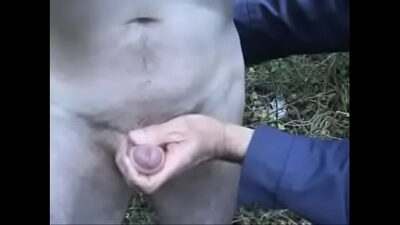 Outdoor gangbang all gay porn video