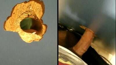 Sexo oral por Glory Hole  – Cromático all gay porn video