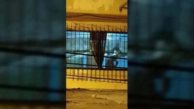 Espiando al vecino milico all gay porn video