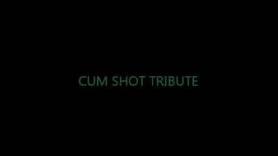 Cum shot tribute PBLV all gay porn video