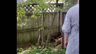 Requested video all gay porn video