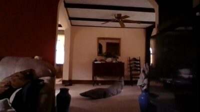 hot in white all gay porn video