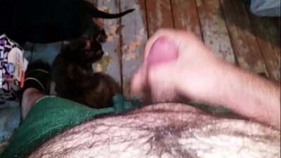 Tease all gay porn video