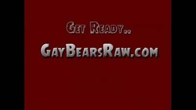 Big Gay Bear Cocks