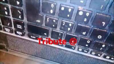 Tribute @ Isabella Taylor