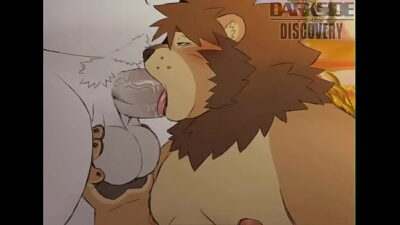 the furry bear blowjob all gay porn video
