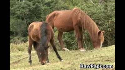 Two Horny Gay Barebacked Sex Hardciore all gay porn video