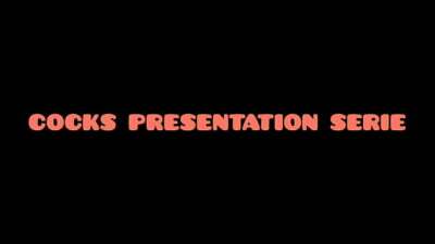 New cocks presentation serie: I show the cocks sent to me all gay porn video