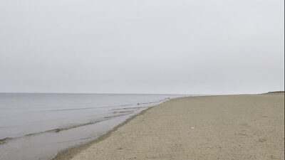 Beach Jerk Off all gay porn video