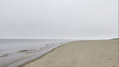Jerking Off at the Beach all gay porn video